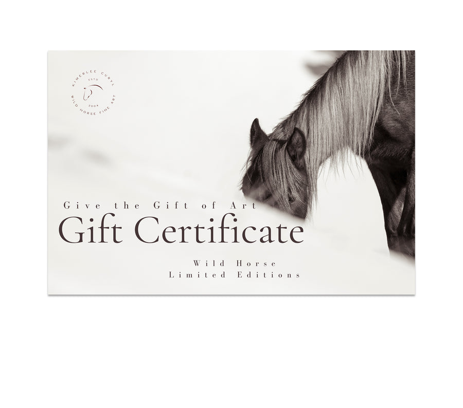 Kimerlee Curyl Fine Art Gift Certificate